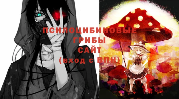 ECSTASY Пролетарск