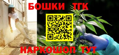 apvp Камышлов