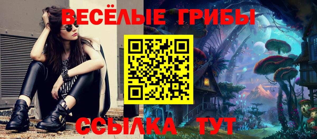 Галлюциногенные грибы Cubensis  Вход с VPN  Советск 