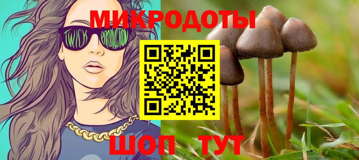Псилоцибиновые грибы Psilocybe Советск