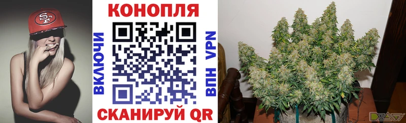 цены Советск Шишки марихуана LSD WEED